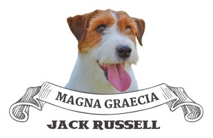 Magna Graecia Jack Russell Logo
