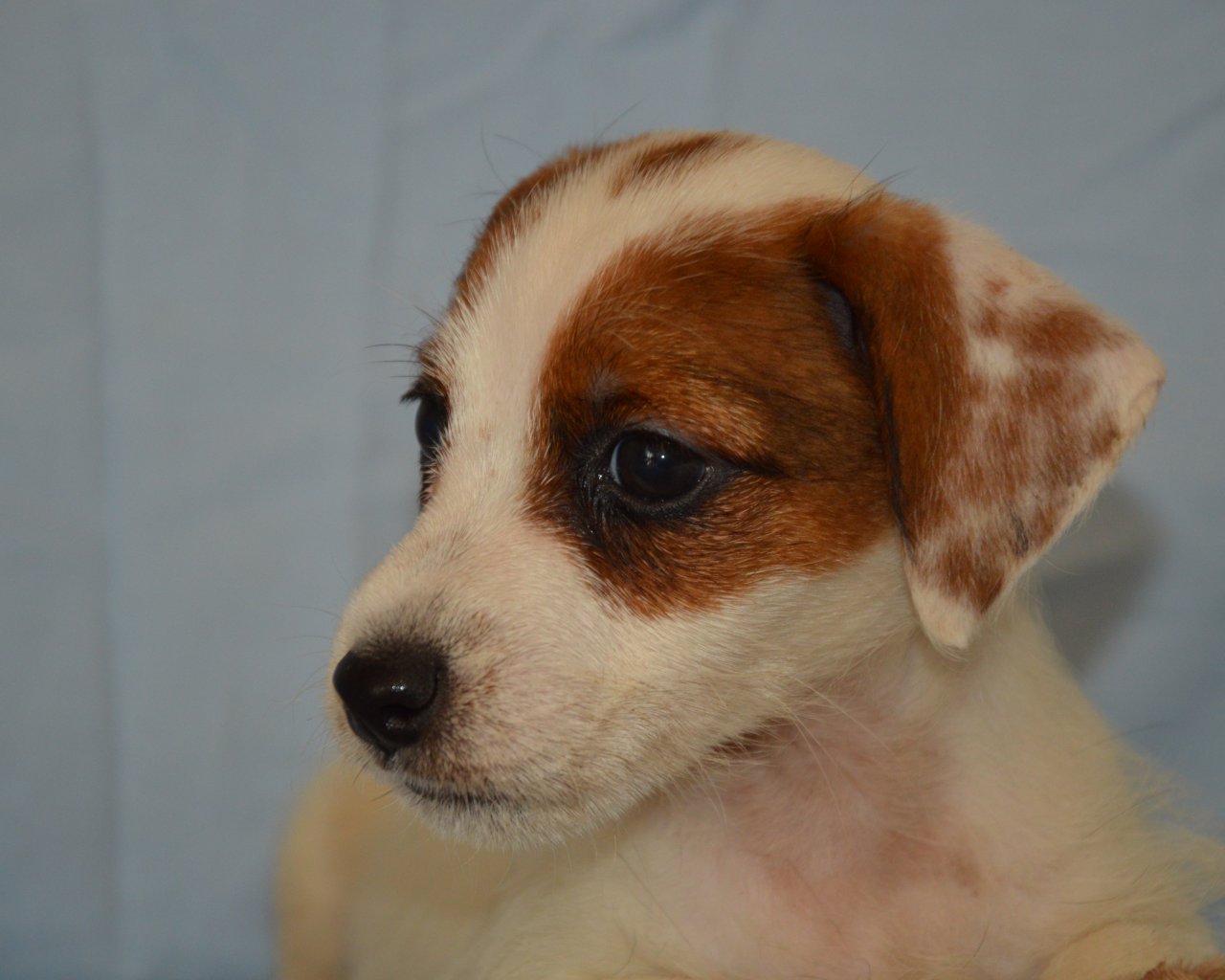 DSC_0022BONBON2826